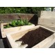 Seed Tray - 3 Pack